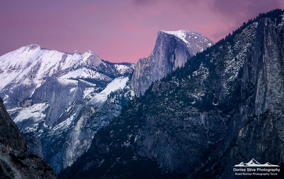 Denise Silva – March Speaker