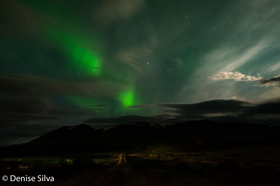 Denise Silva – March Speaker