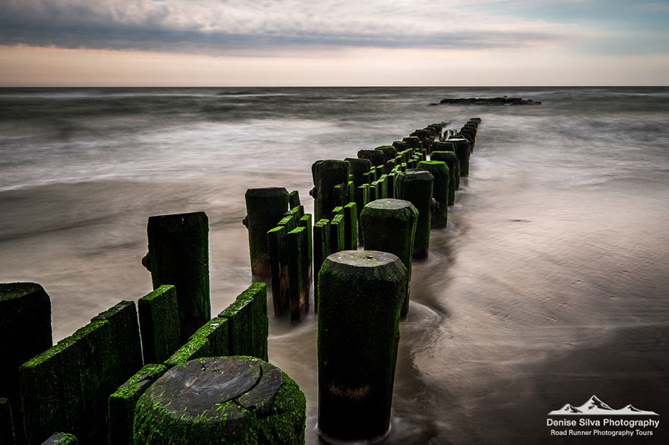 Denise Silva – March Speaker