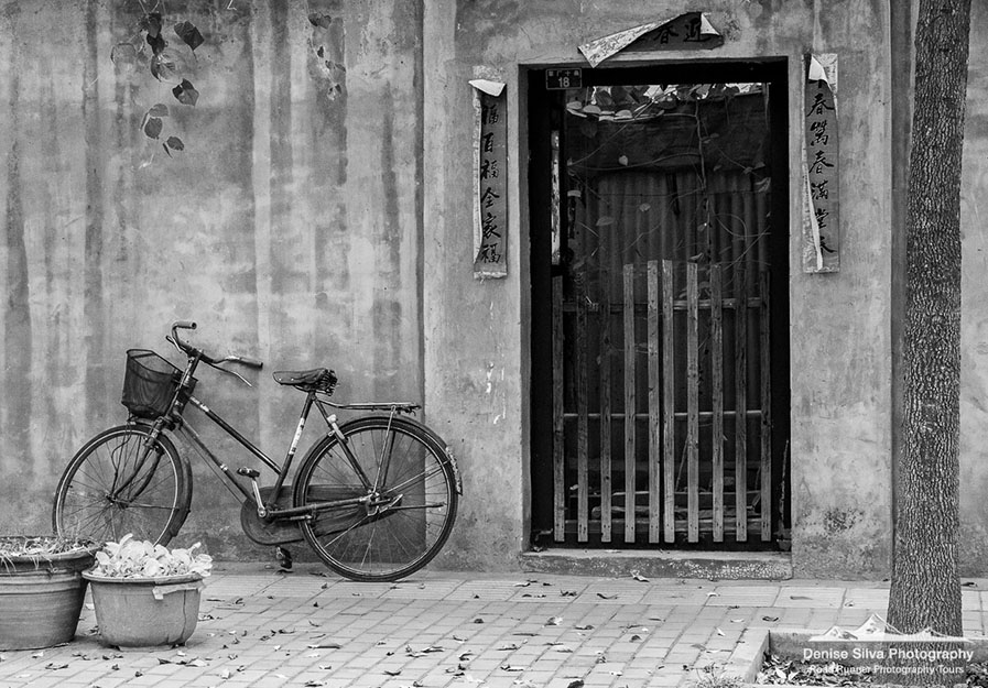 Denise Silva – March Speaker