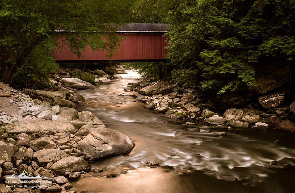 Denise Silva – March Speaker