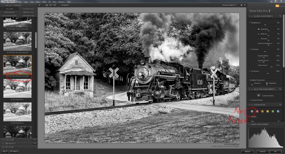 24 final image B&W.jpg