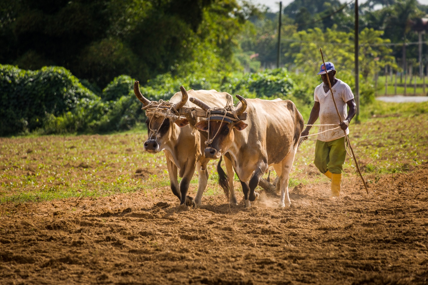 300mm Cuba 2018 Day 2-8476.jpg