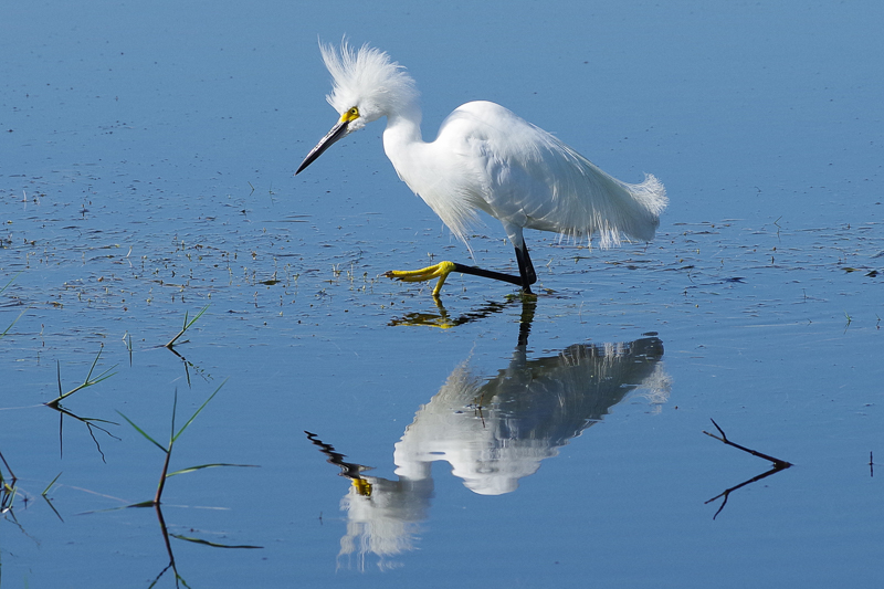 3rd Int Dig- Bad Hair Day- Dean Klim.jpg