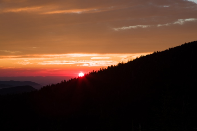 5_01A4204-HDR.jpg