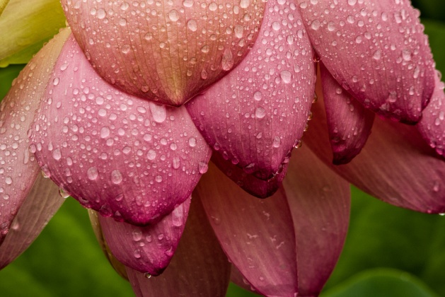 _83A1530-Edit.jpg