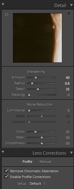alligator LR Sharpening.JPG
