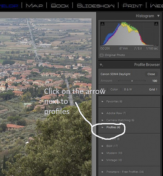C:\Users\Mickey\Desktop\color checker\Select profile 3.jpg