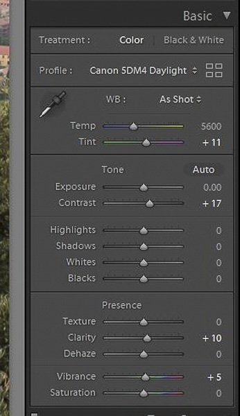 C:\Users\Mickey\Desktop\Import preset\Profile and basic.jpg