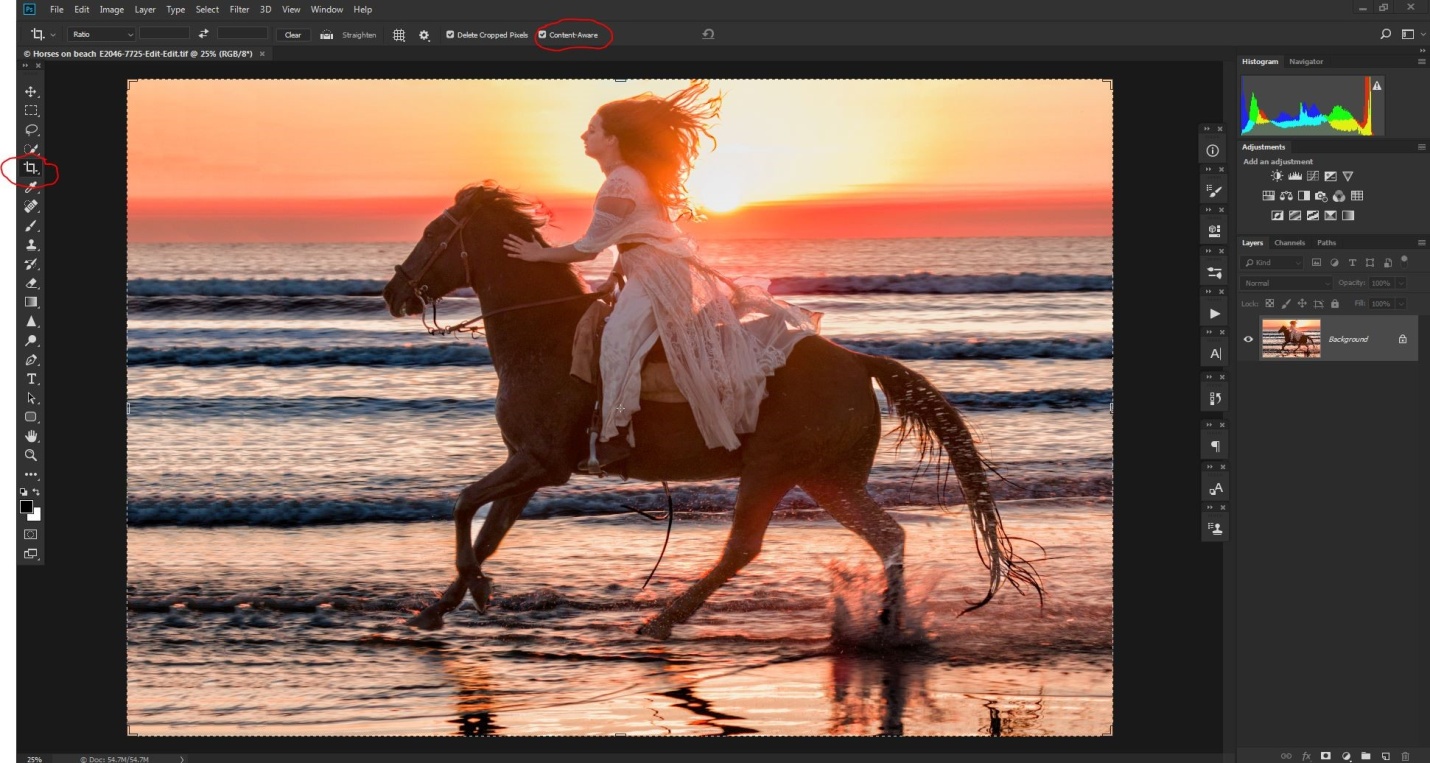 Crop settings 1.JPG