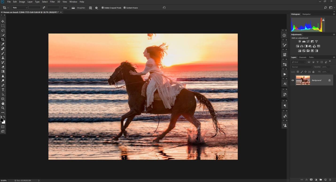 Crop settings 3.JPG
