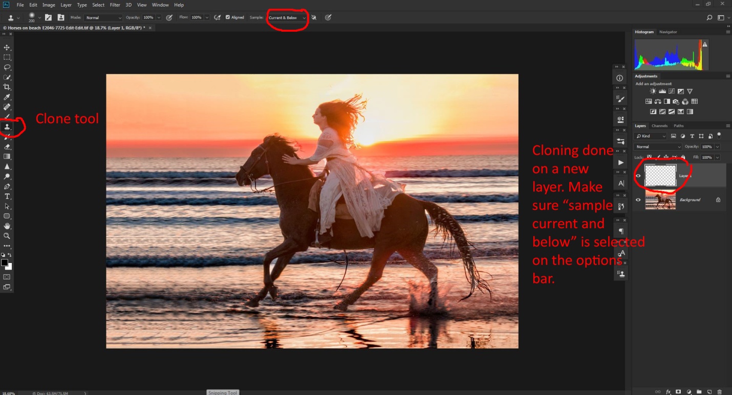 Crop settings 4 cloned.JPG