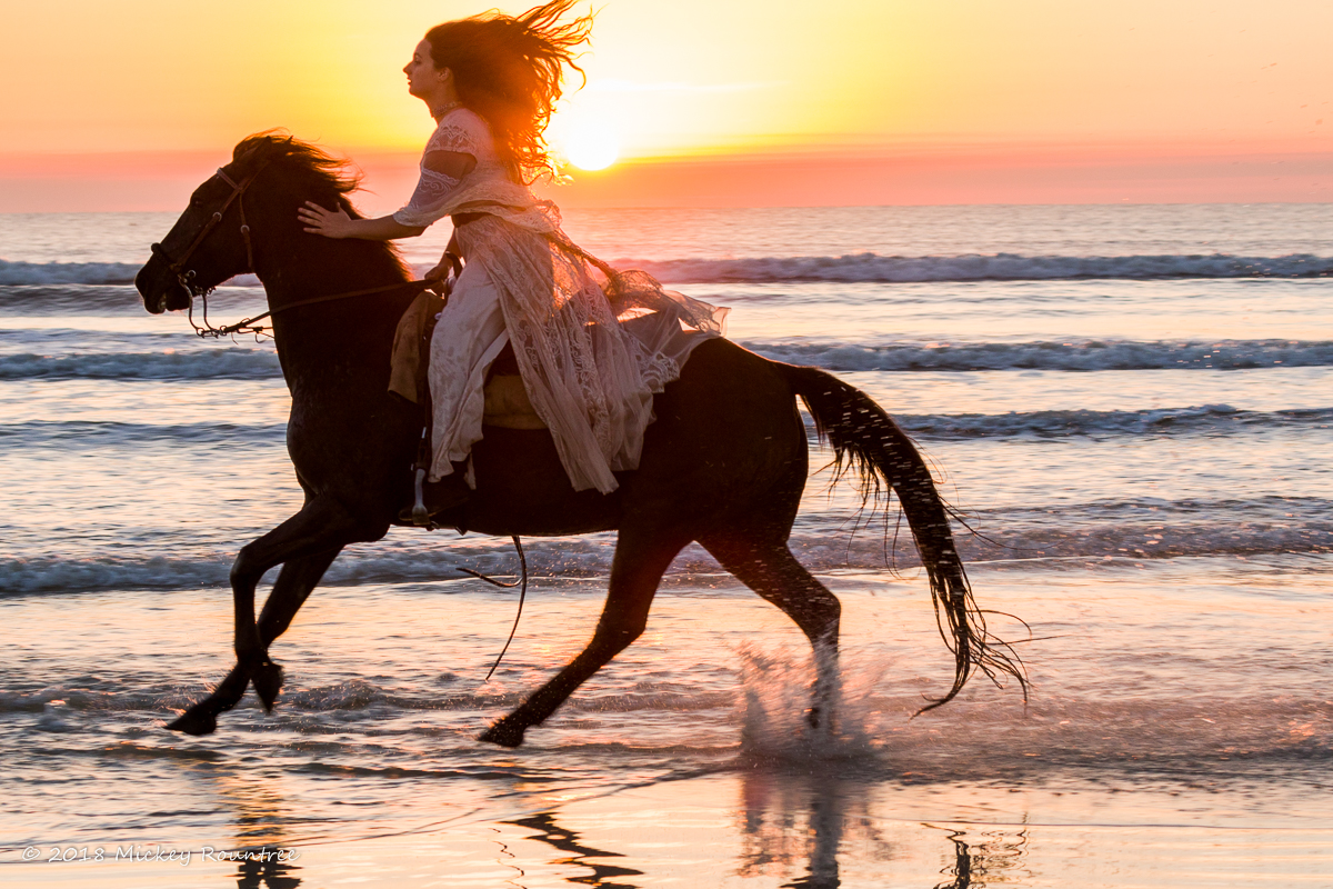 Horses on beach E2046-7725.jpg