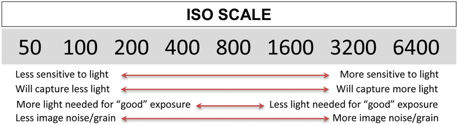 http://imagesandcameras.com/wp-content/uploads/2014/07/Camera-ISO-Scale.jpg