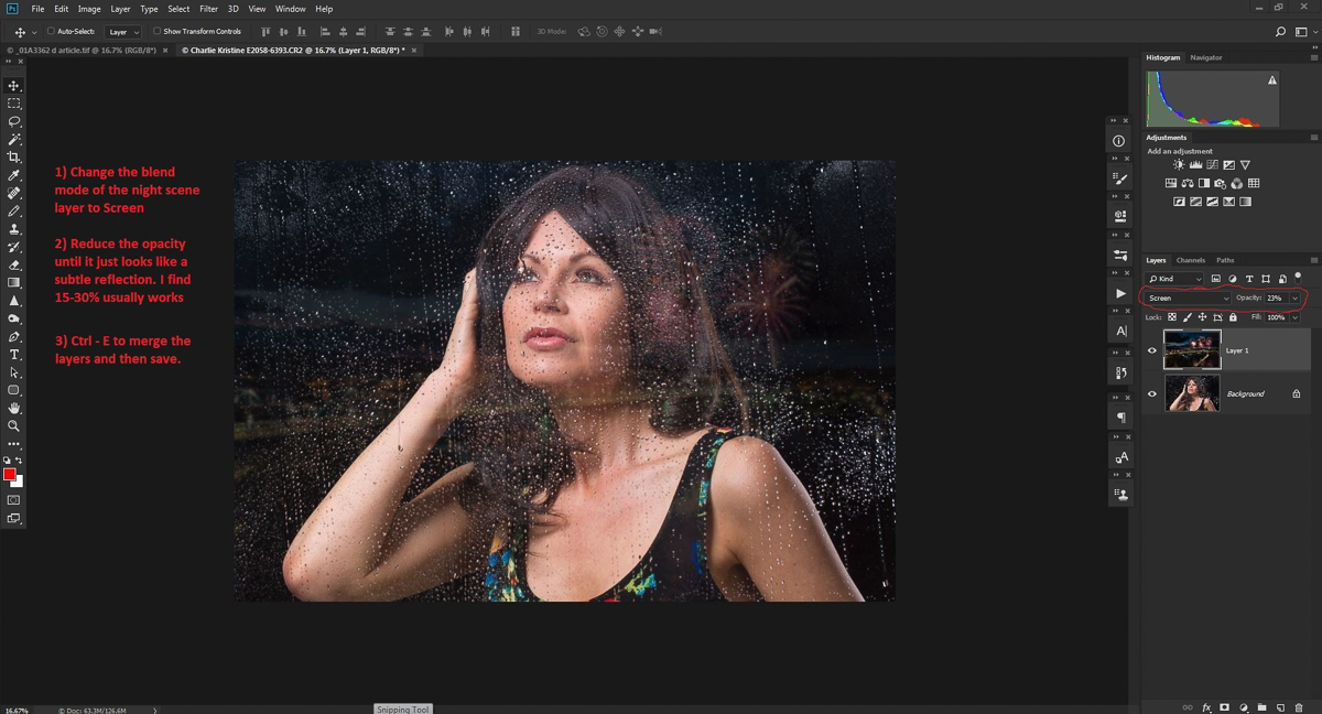 screen and opacity.jpg