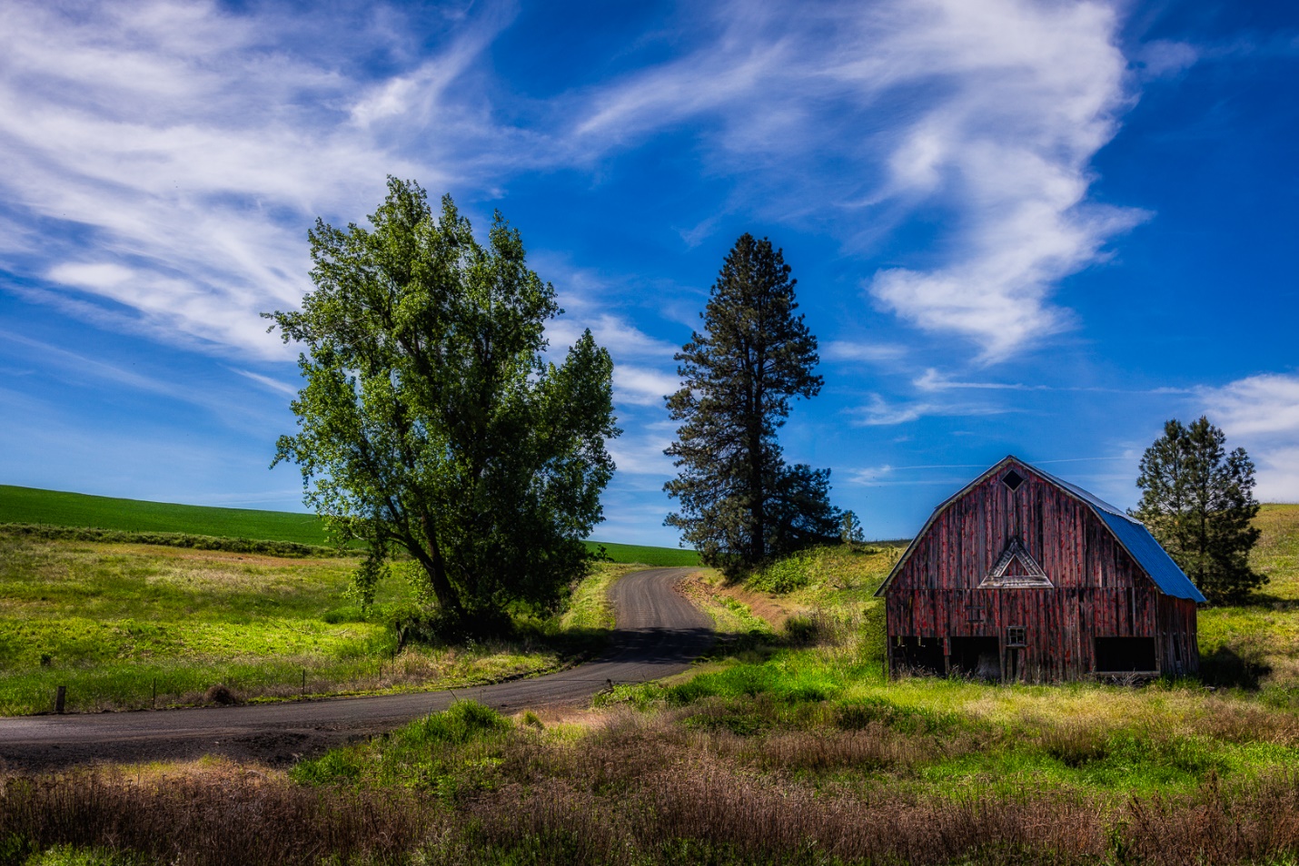 C:\Users\micke\AppData\Local\Microsoft\Windows\INetCache\Content.Word\Palouse 2025-7008-Edit glow.jpg