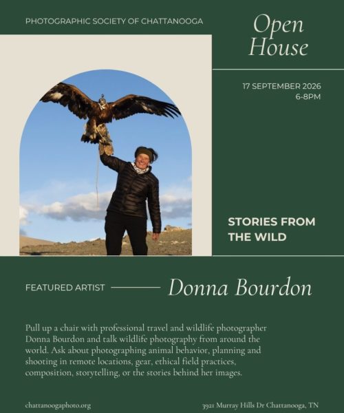 Donna Bourdon