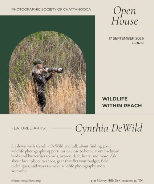 Cynthia DeWild